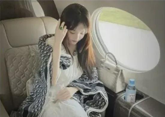 陈志被捕!传炫富妻身份被起底!送女儿“金钢琴”、家中养鲨鱼、出行靠飞机(组图) - 5