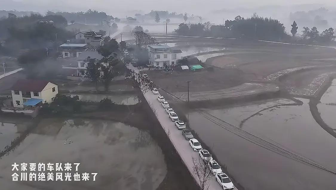 请网友杀猪后续:事情已传到澳洲,女子涨粉30万,最新发声来了(组图) - 5