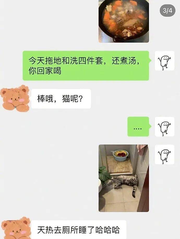 【宠物】男子吐槽老婆是为了猫才跟自己结婚，网友不信，一看聊天记录绷不住哈哈哈哈（组图） - 21