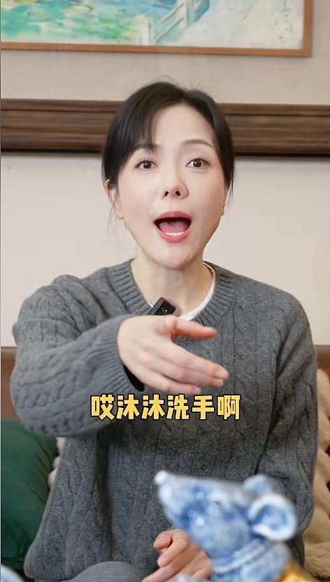 汪涵儿子正脸照曝光，很像杨乐乐，杨乐乐分享视频疑证实二胎传闻（组图） - 1