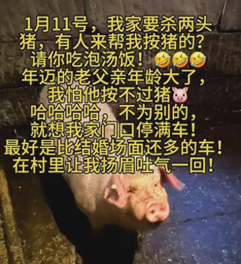 请网友杀猪后续:事情已传到澳洲,女子涨粉30万,最新发声来了(组图) - 2