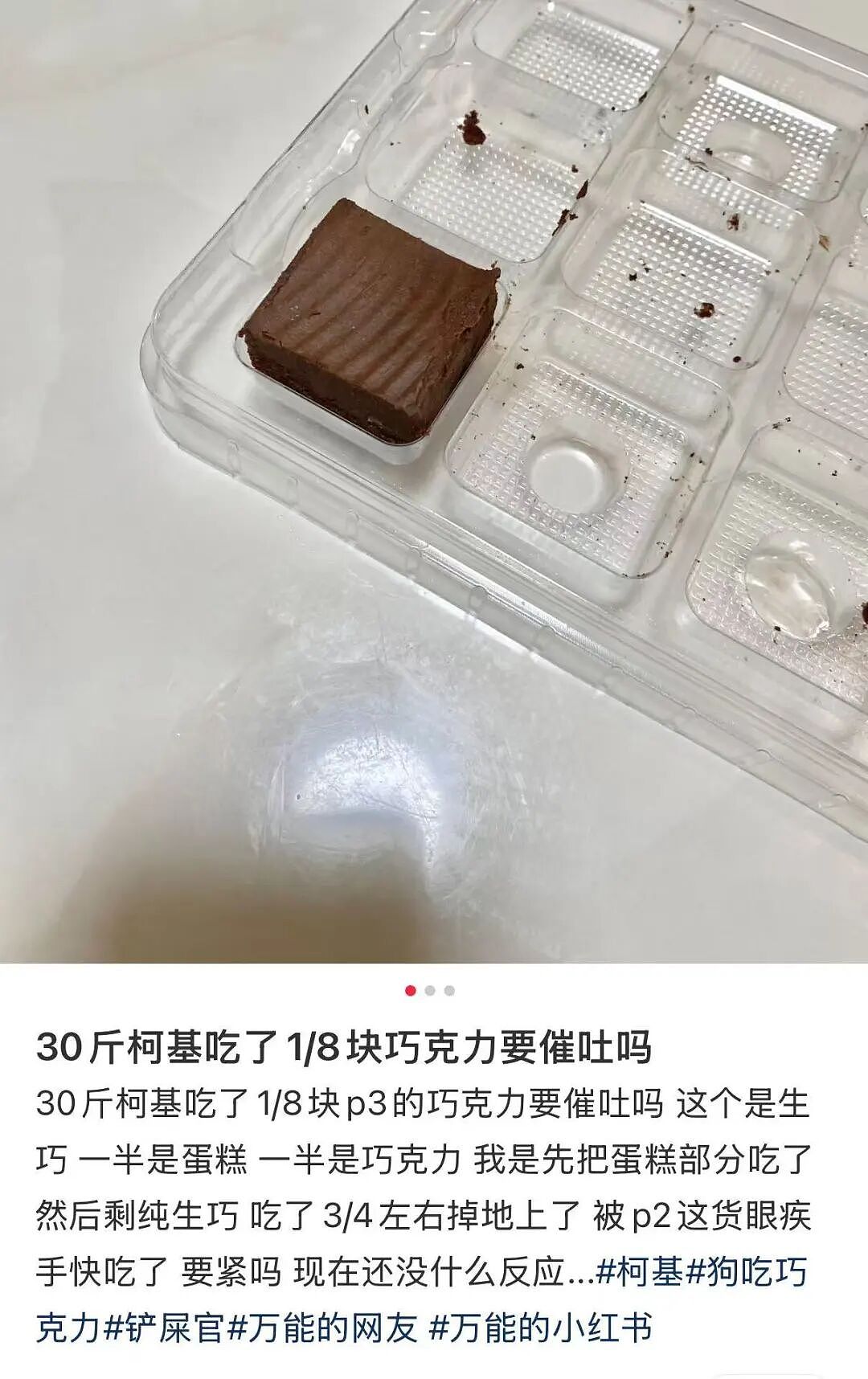 【爆笑】“男同学知道我要去留学后劝我别去…?”啊啊啊谁家醋坛子打翻了这么酸(组图) - 25