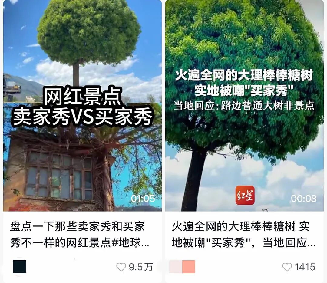 “河南大爷让巴黎文旅一年白干”,这“素颜”打卡照为啥网友狂夸(组图) - 10