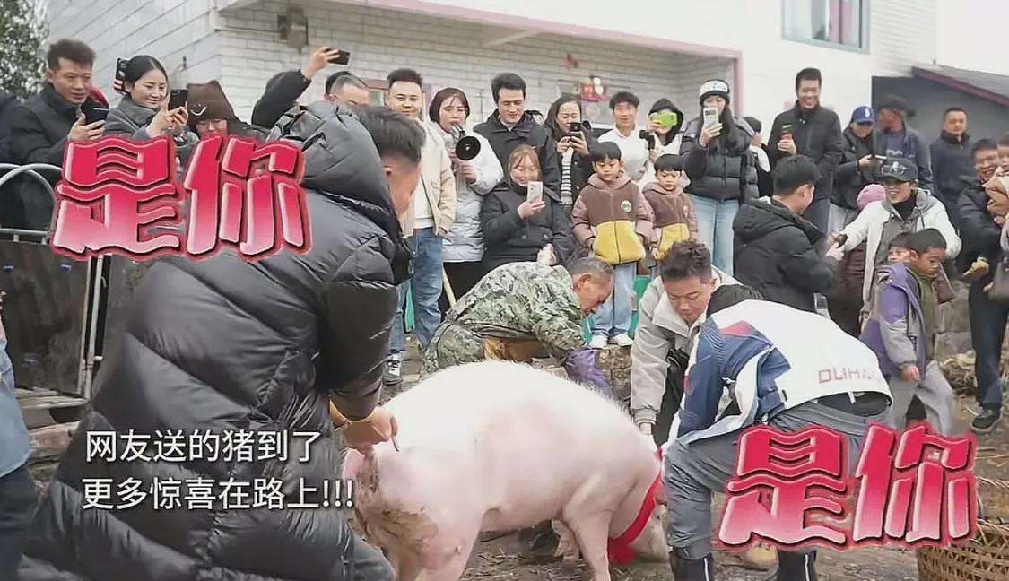 请网友杀猪后续:事情已传到澳洲,女子涨粉30万,最新发声来了(组图) - 6