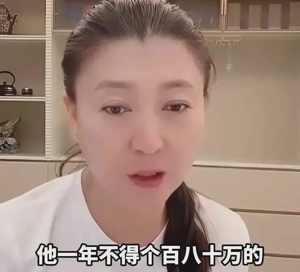 “国民媳妇”闫学晶怎么就因一根“酸黄瓜”翻车（组图） - 3
