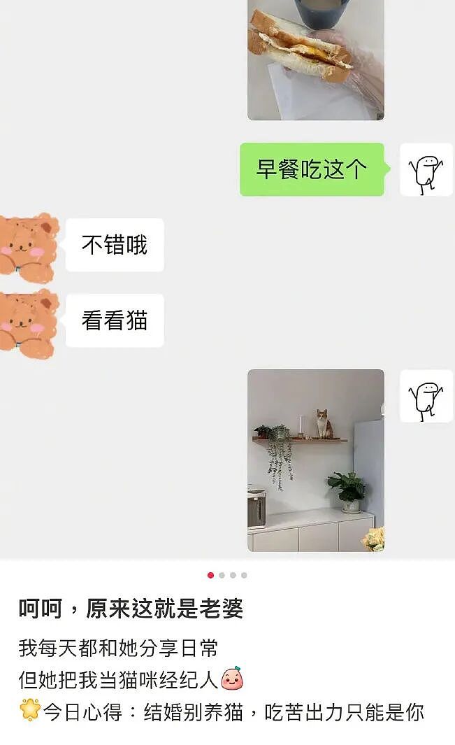 【宠物】男子吐槽老婆是为了猫才跟自己结婚，网友不信，一看聊天记录绷不住哈哈哈哈（组图） - 19
