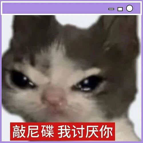 【爆笑】“当网店客服被名校客户狠狠背刺…？”啊啊啊好窝囊的报复手段（组图） - 96