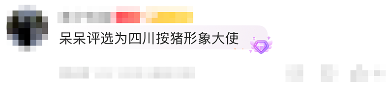 女孩不会杀猪上网求助，上千人驱车前往，10万人在线围观！女孩三天涨粉超56万，当地文旅部门：欢迎来蹭饭（组图） - 10