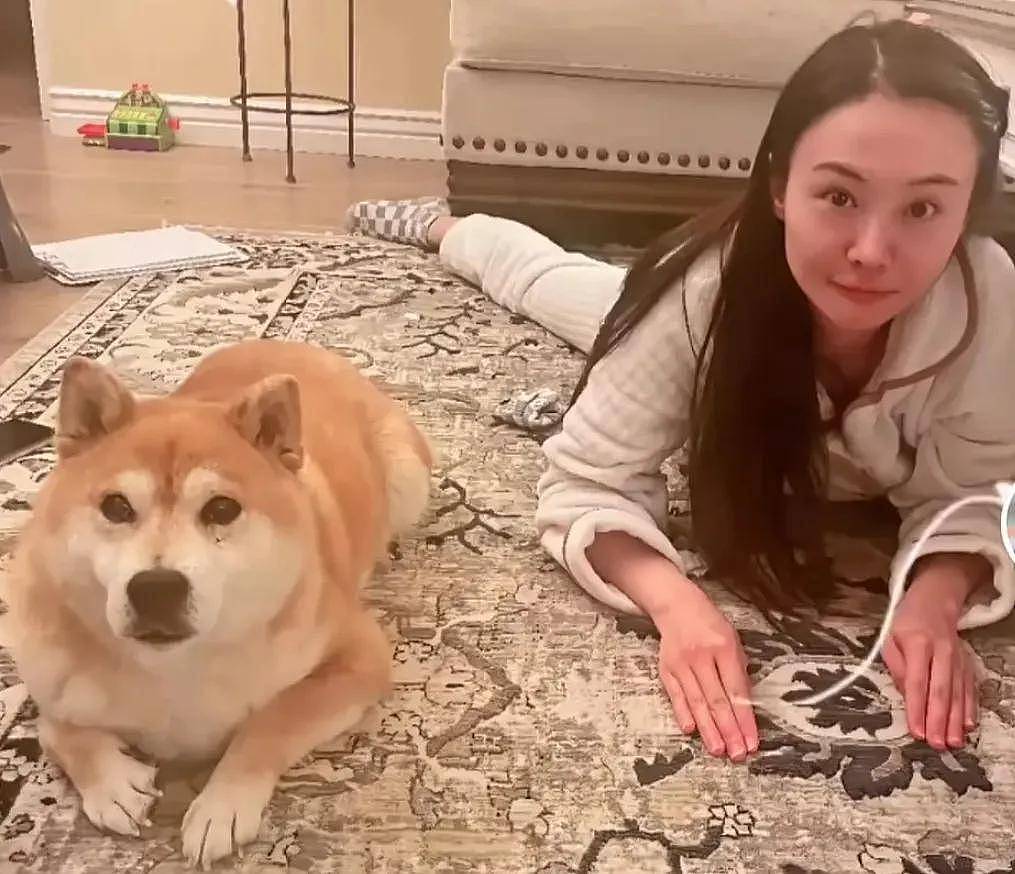 郑爽广电封禁通知曝光！日子久了都忘了她有多恶劣，违法还弃养（组图） - 29