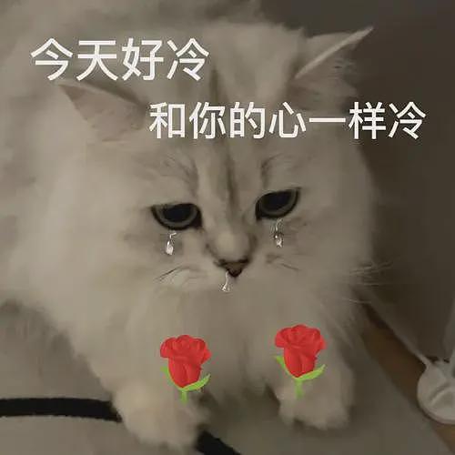 上班挣30万工资上交给老婆全都没了，丈夫曝聊天记录花钱去处全网气疯（组图） - 17