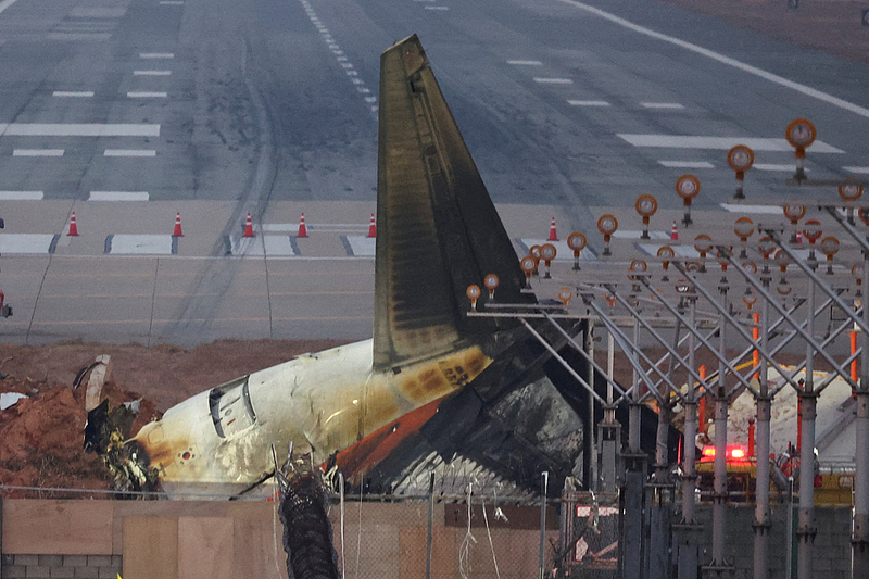 遭5万只鸟击！济州航空179死，机长绝望对话首曝光（图） - 1