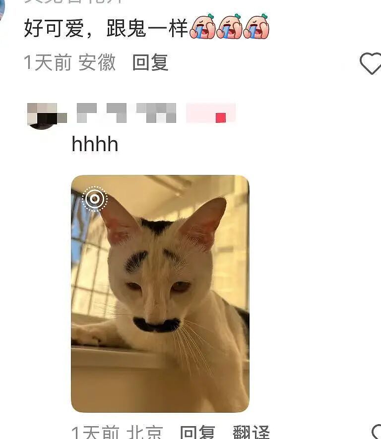 【爆笑】“男同学知道我要去留学后劝我别去…?”啊啊啊谁家醋坛子打翻了这么酸(组图) - 29