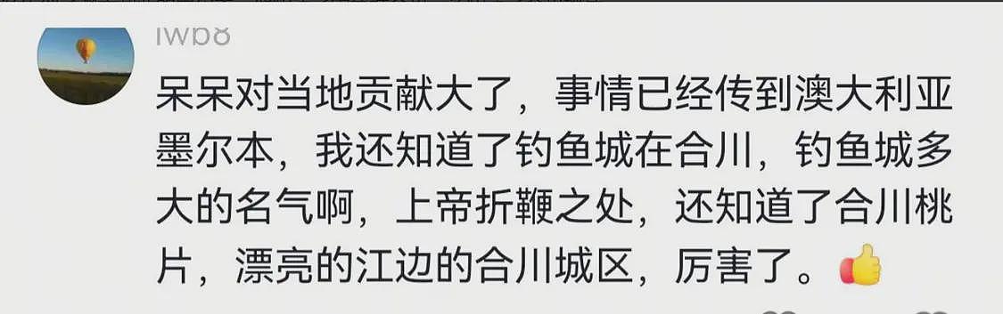 请网友杀猪后续:事情已传到澳洲,女子涨粉30万,最新发声来了(组图) - 11