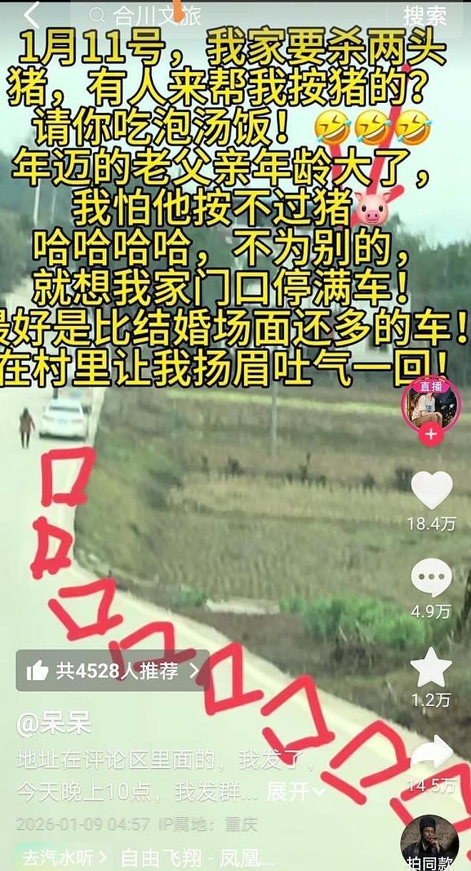 上千网友到合川帮女孩杀猪,车子从村头停到了村尾,主厨:这么多张嘴挂身上,压力太大了(组图) - 1