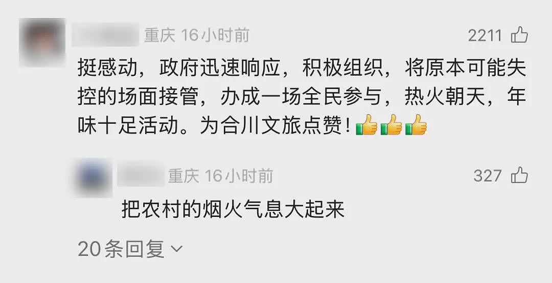 重庆女子喊来千人杀年猪,互联网亲戚火了(视频/组图) - 8