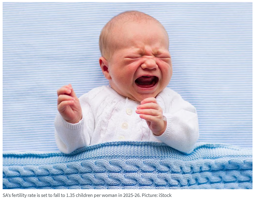阿德水上运动中心即将开放,首日体验名额启动抽签预约;南澳老龄化叠加人才流失,人口结构挑战加剧(组图) - 6