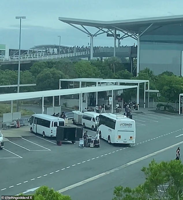 今早，布里斯班机场突发！大批旅客紧急疏散，现场乱作一团（组图） - 2