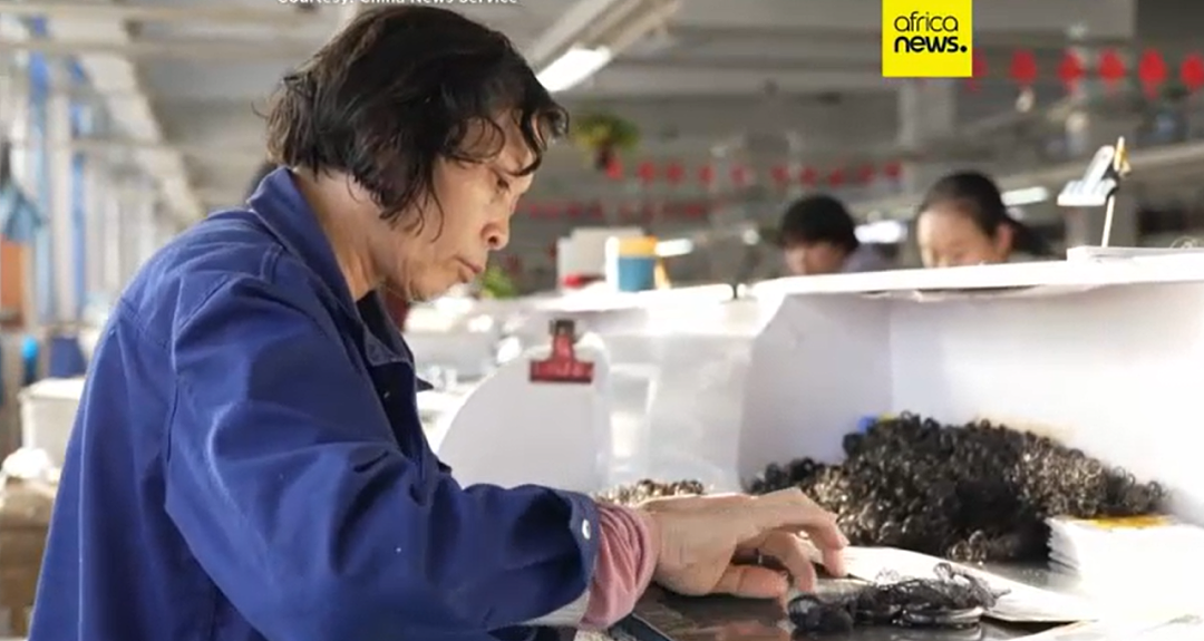 河南小城拿捏全球假发产业?一手抓非洲一手抓欧美,网友:中,真中!(组图) - 13