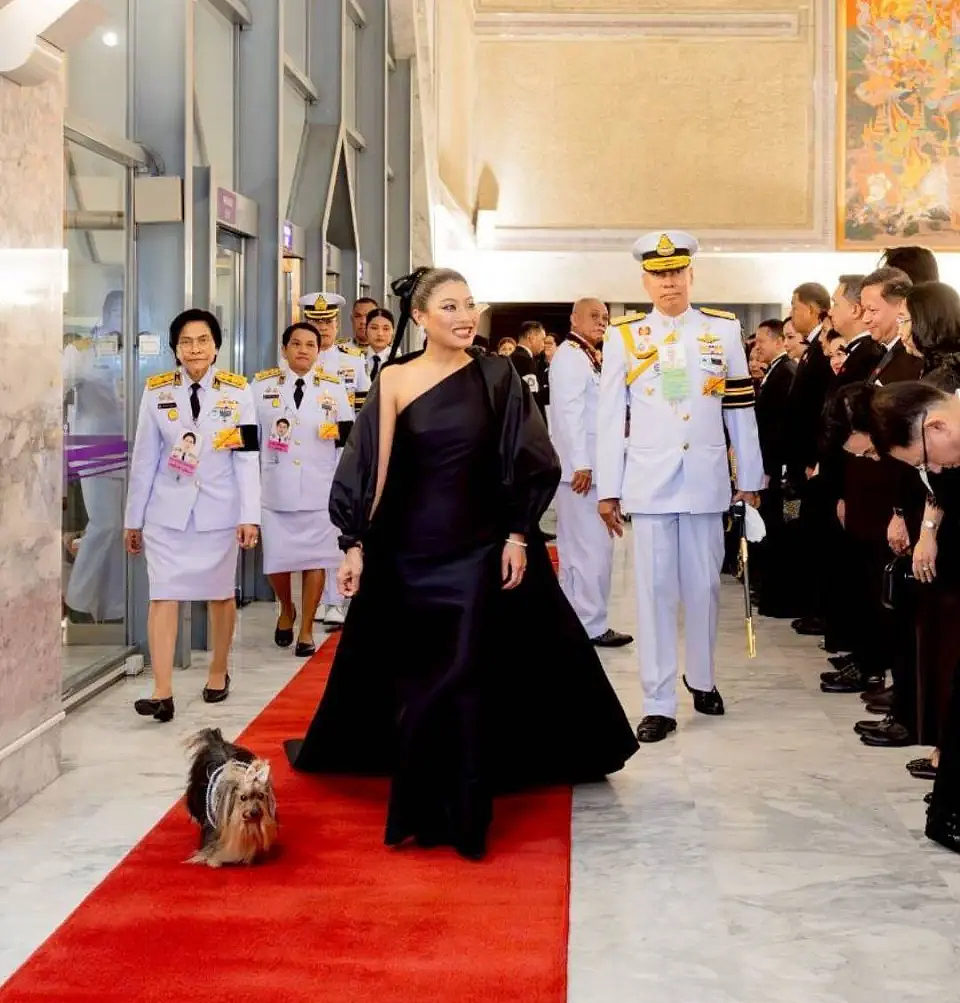 瓜!泰“护国神兽”公主恋上泰总理儿子?男方为当驸马疑甩刚订婚7年女友(组图) - 12
