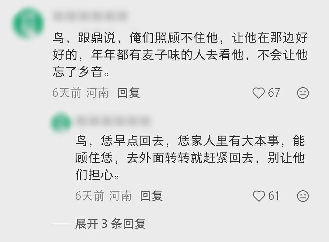 全网爆火的博物馆，一夜之间收到2万评论！网友：全是来讨债的…（组图） - 23