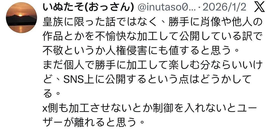 马斯克旗下AI大批量生成裸照惹争议！日本也成重灾区，最美皇室公主大尺度照曝光（组图） - 7