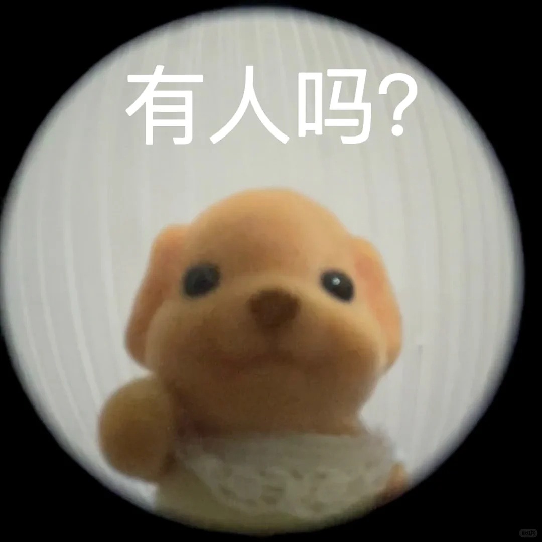 中国APP《死了么》刷屏新加坡，掀起全民下载狂潮！揭开全岛611万人的“恐惧”...（组图） - 23