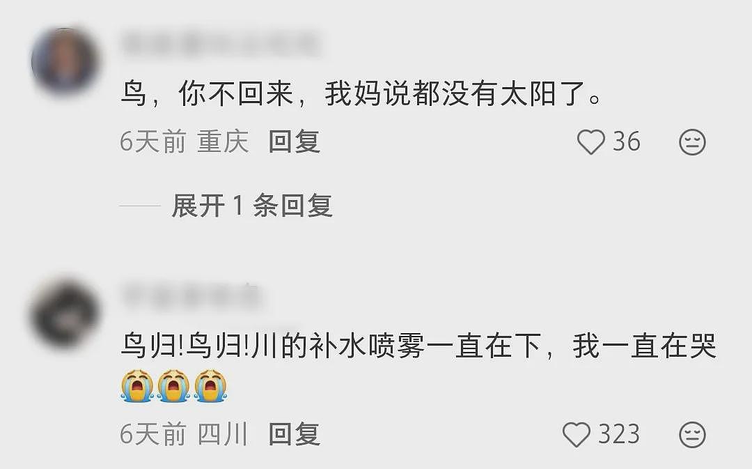全网爆火的博物馆，一夜之间收到2万评论！网友：全是来讨债的…（组图） - 13