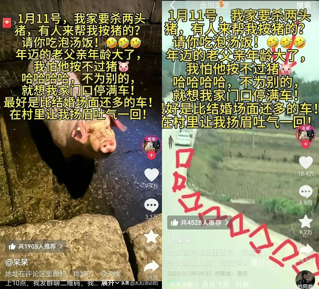 “2026年第一个闯大祸的人”，如何制造了“千人赴约杀猪宴”的网络狂欢（组图） - 2