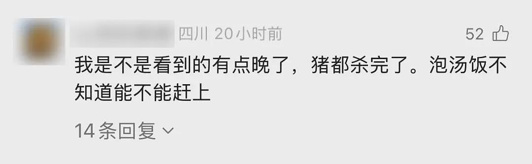 重庆女子喊来千人杀年猪,互联网亲戚火了(视频/组图) - 6