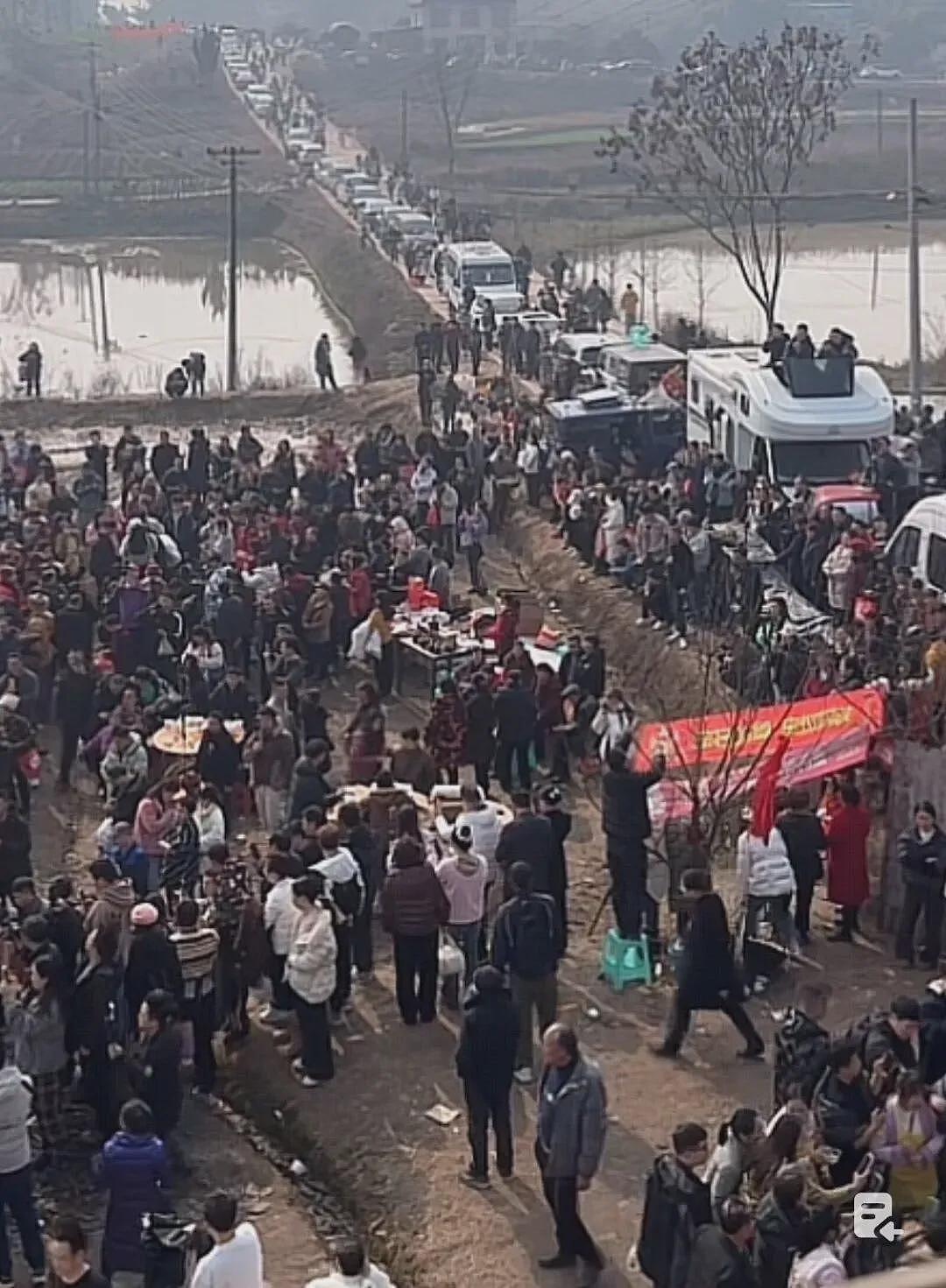 重庆女子喊来千人杀年猪,互联网亲戚火了(视频/组图) - 2