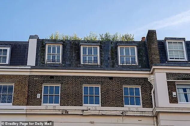 澳洲百万富翁打赢三年官司,成功保住伦敦豪宅玻璃屋顶露台!成功的关键在这!(组图) - 4