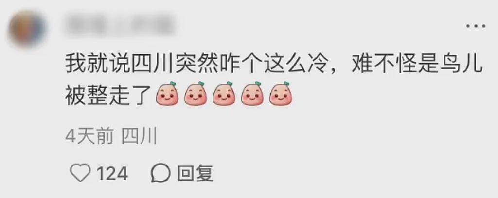 全网爆火的博物馆，一夜之间收到2万评论！网友：全是来讨债的…（组图） - 3