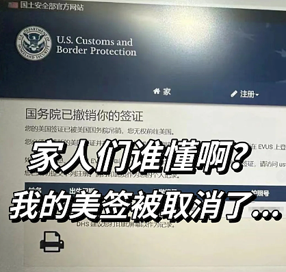 创纪录!川普政府一年撤销超10万份签证,B1/B2商务旅游签证成“重灾区”(组图) - 4