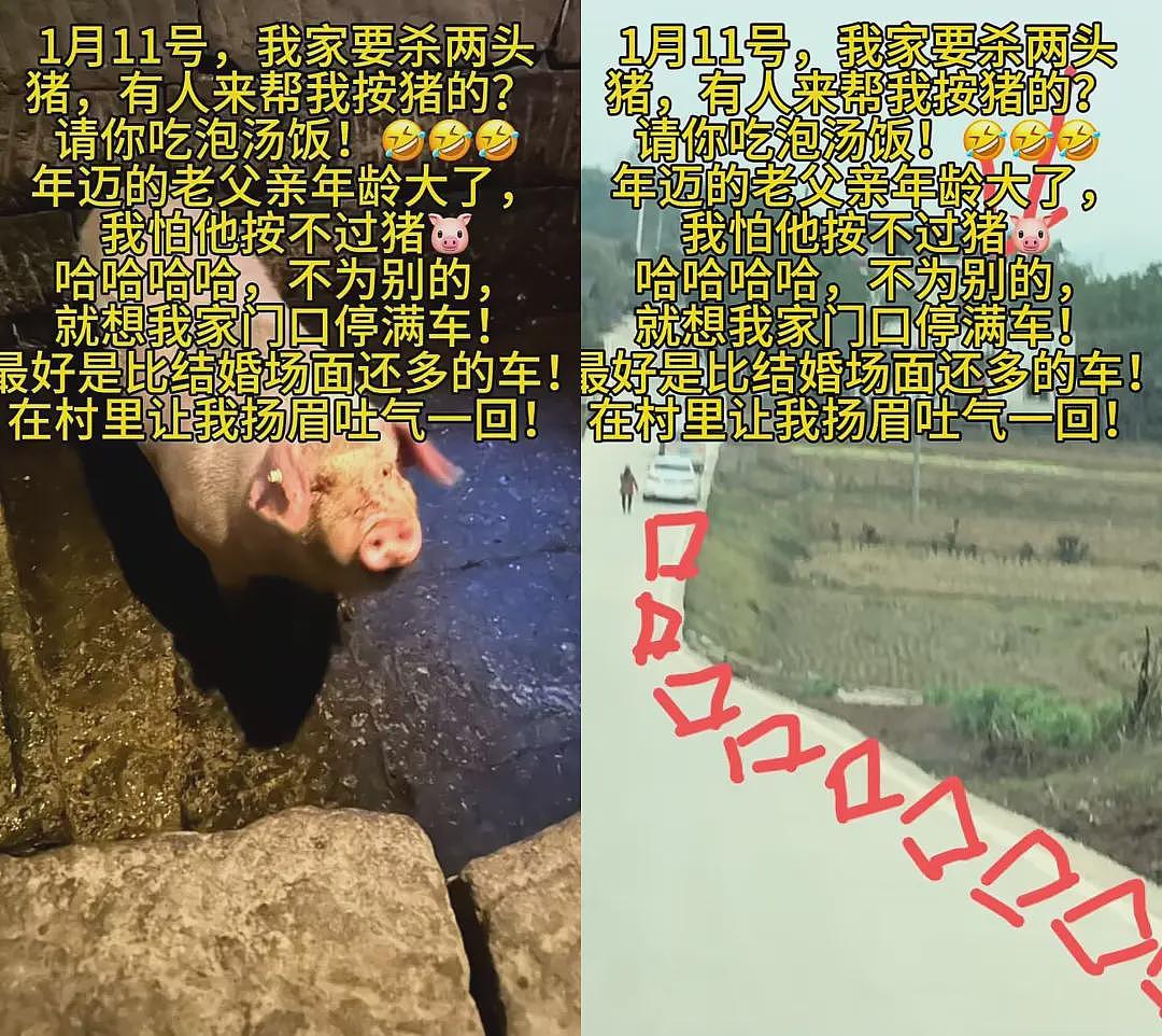重庆女子喊来千人杀年猪,互联网亲戚火了(视频/组图) - 1