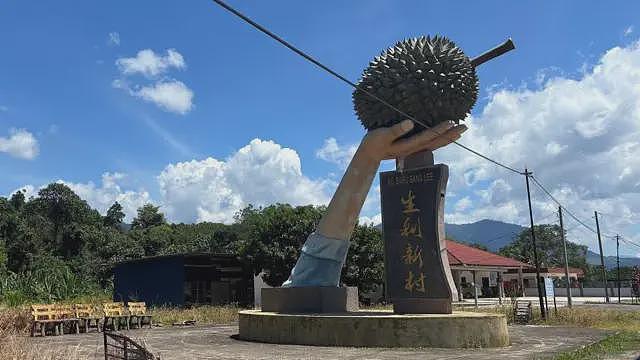 “榴梿界的爱马仕”：抢食中国千亿胃口的奢华水果（组图） - 2