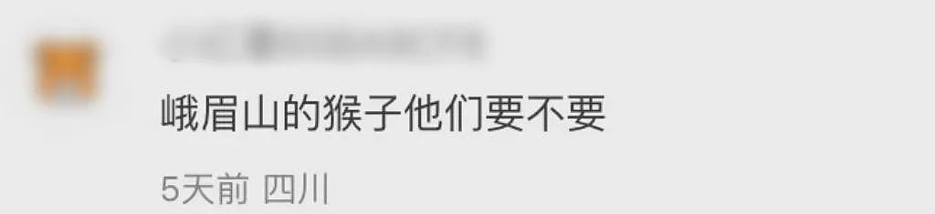 全网爆火的博物馆，一夜之间收到2万评论！网友：全是来讨债的…（组图） - 17