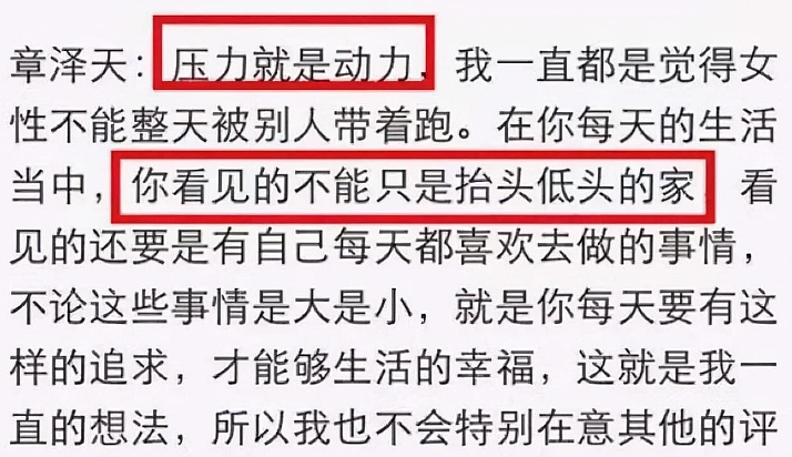 从京东老板娘,到600亿商业大佬,到做节目采访刘嘉玲,章泽天凭什么?(组图) - 21