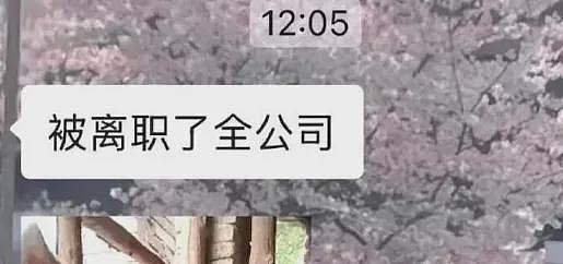 涉嫌垄断！携程遭市监总局立案调查，最新回应：将积极配合（组图） - 5
