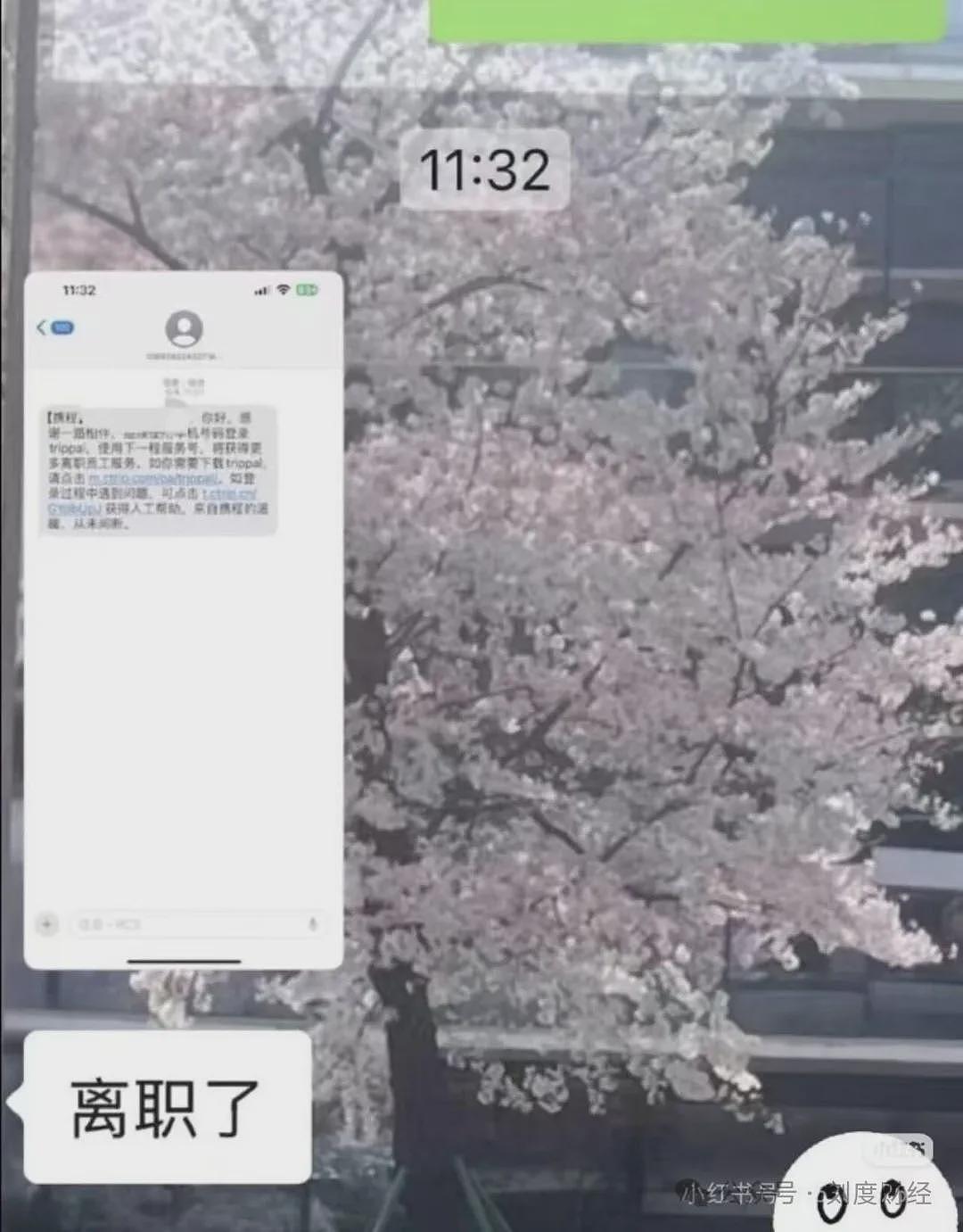 涉嫌垄断！携程遭市监总局立案调查，最新回应：将积极配合（组图） - 7