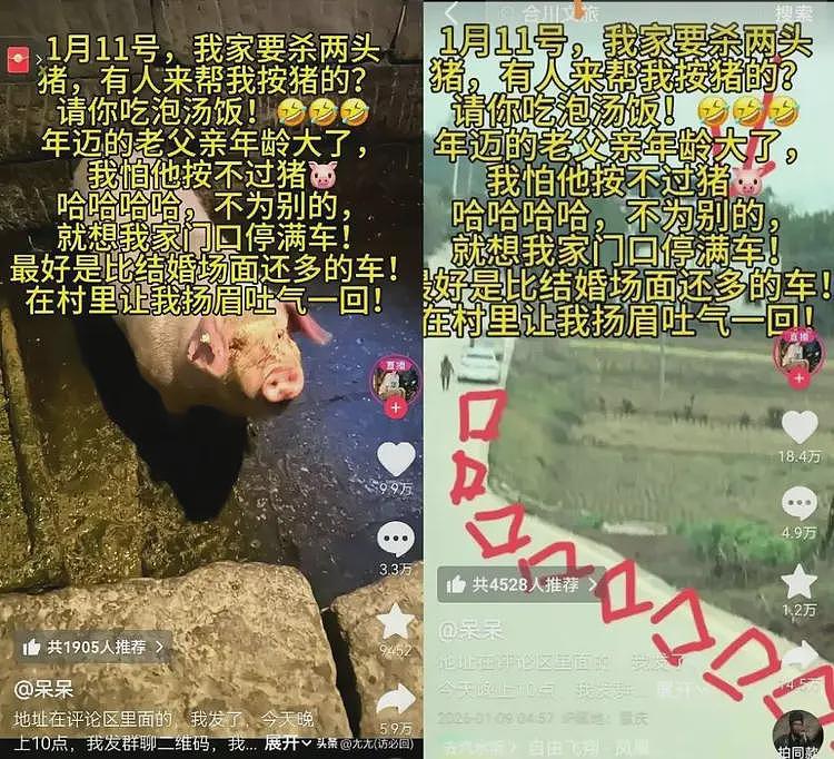 重庆合川“摇人按猪”女孩粉丝破190万！60秒以上视频广告报价2400元，商标被多方申请注册，网友提议（组图） - 4