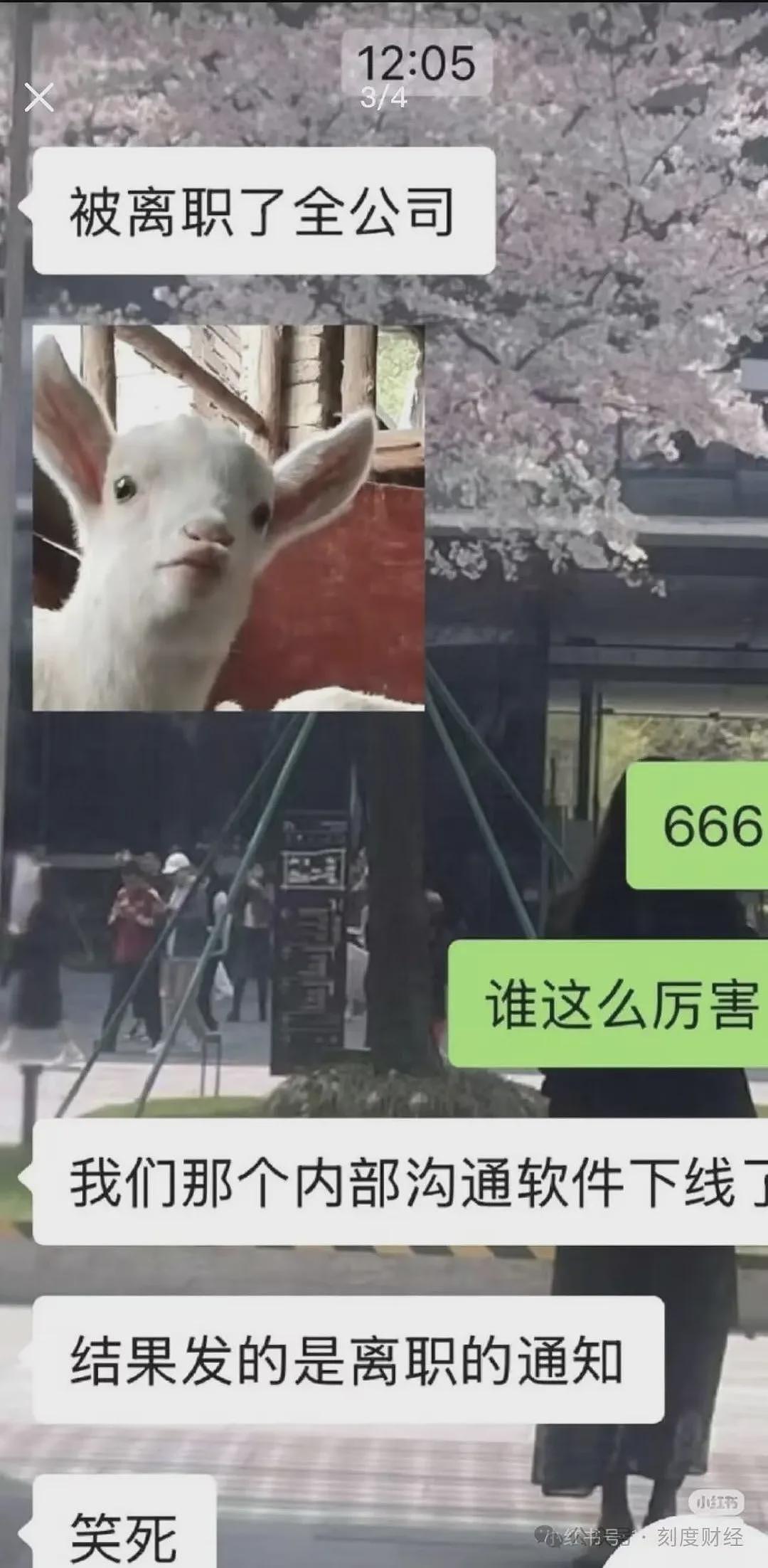 涉嫌垄断！携程遭市监总局立案调查，最新回应：将积极配合（组图） - 10