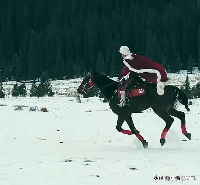 “网红女县长”贺娇龙意外坠马离世？媒体删除消息，知情人发声：仍在抢救（组图） - 3