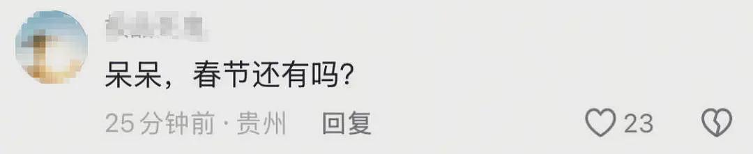 杀年猪女孩“呆呆”3天涨粉近200万，网友称3天赚了450万，本人回应（组图） - 9