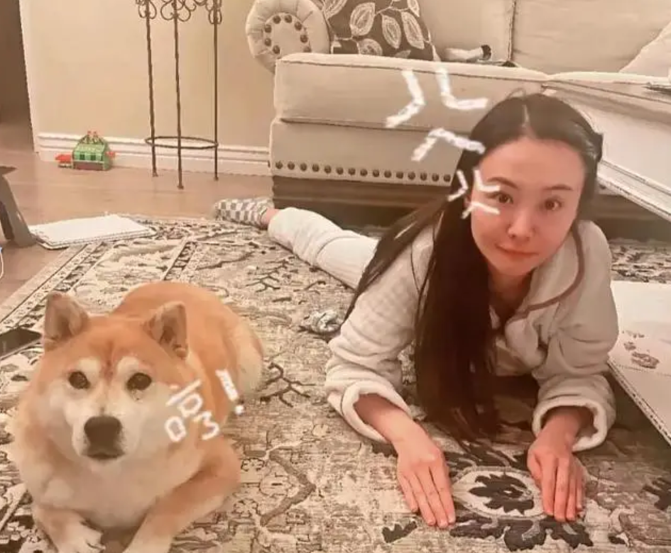 郑爽近照曝光！身材圆润彻底成素人，家中装修豪华惊现儿童玩具（组图） - 1