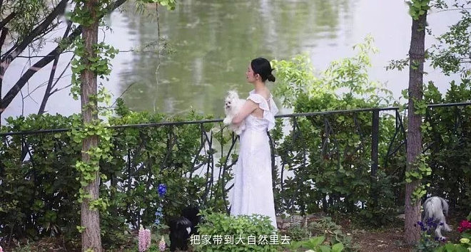 章泽天播客曝光刘嘉玲豪宅,姜研、霍思燕的也不小(组图) - 31
