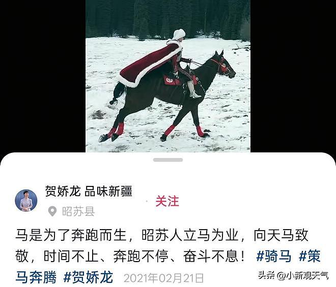 “网红女县长”贺娇龙意外坠马离世？媒体删除消息，知情人发声：仍在抢救（组图） - 5