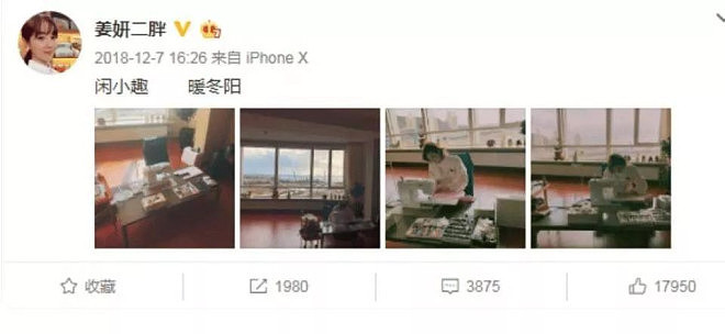 章泽天播客曝光刘嘉玲豪宅,姜研、霍思燕的也不小(组图) - 17
