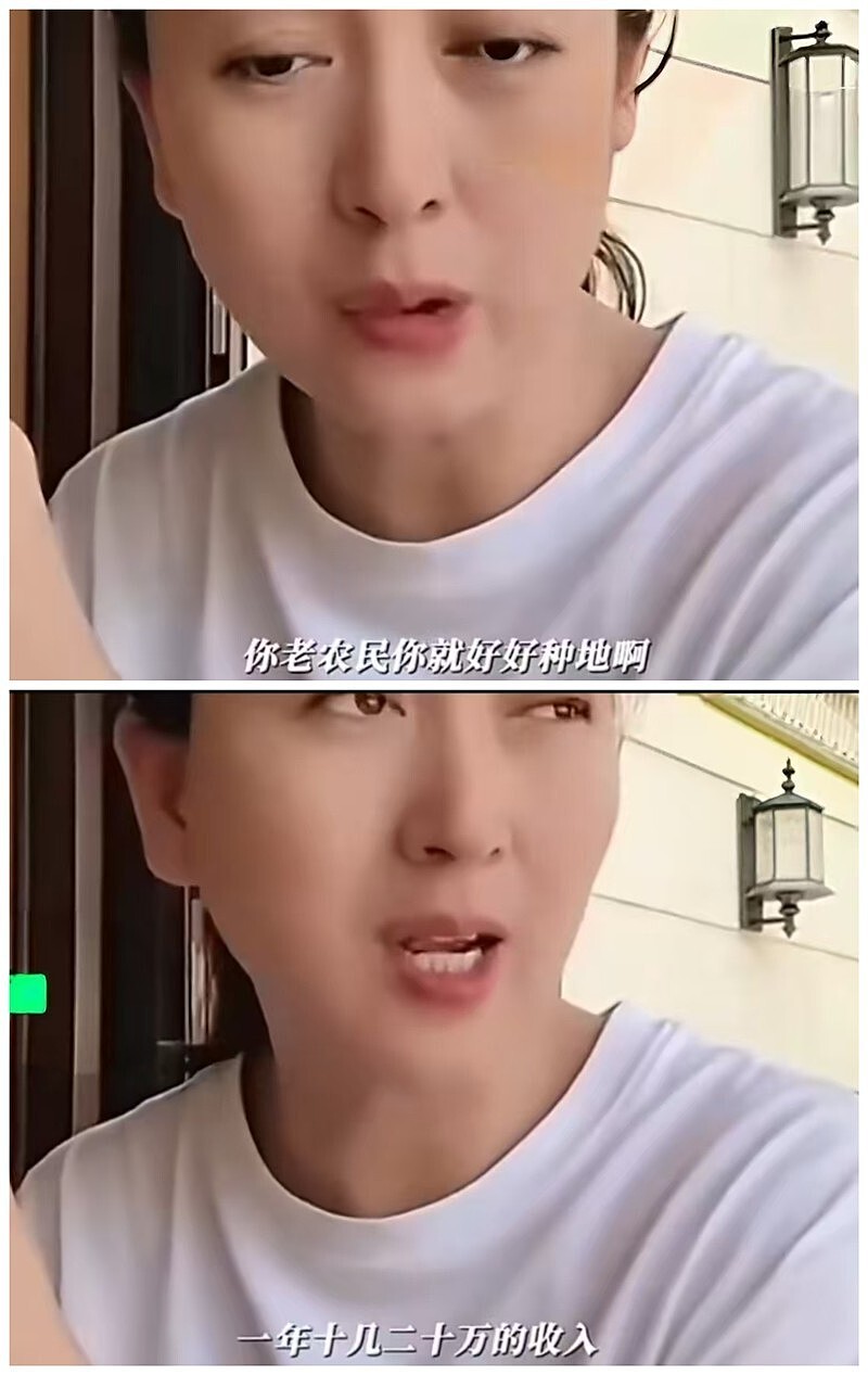 闫学晶被扒了个底朝天？细看资产，“飘”太高是真的会摔的（组图） - 8