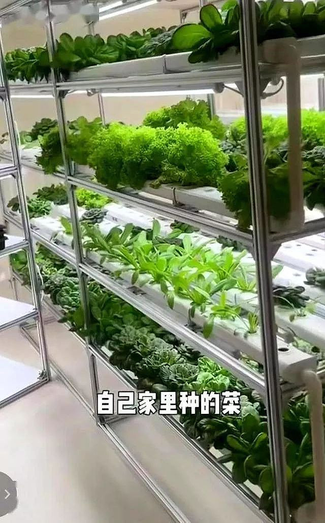 章泽天播客曝光刘嘉玲豪宅,姜研、霍思燕的也不小(组图) - 18