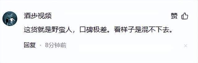 宝能董事长姚振华实名举报常熟官员，控诉观致核心资产将遭“贱卖”，网友评论（视频/组图） - 10